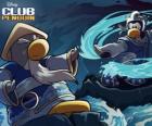 Ninja пингвинов, персонажи знаменитого Club Penguin